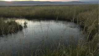 preview picture of video 'O'Dell Creek - Madison Valley, Montana'