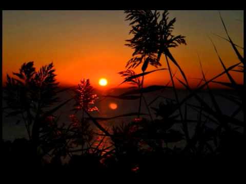 ● M.I.K.E Pres. Plastic Boy - Chocolate Infusion ● HQ ♪