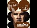 Lloyd Cole - Afterlife (Live June 19th, 2026 Kampvuurconcert at Horst castle, Belgium)