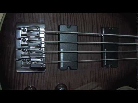 Schecter Damien Solo Elite Bass With Seymour Duncan SSB-4 Basslines Pickups