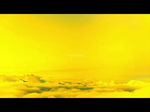 Typhoon & The New Cool Collective - Chocolade (feat. Fakkelbrigade)