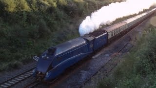 preview picture of video '(HD) 4464 Bittern The Torbay Express 1Z28 Flax Bourton 19th August 2012'