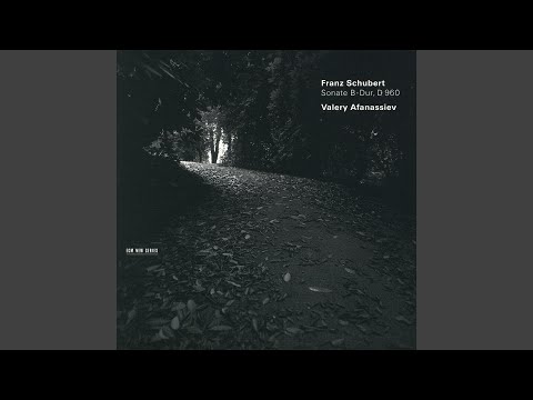 Schubert: Piano Sonata No. 21 in B-Flat Major, D. 960: I. Molto moderato