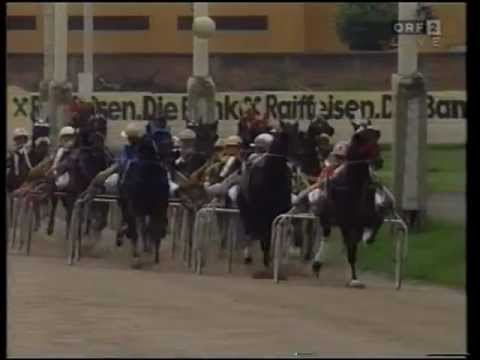 Österreichisches Traber-Derby 1994 - Das Rennen