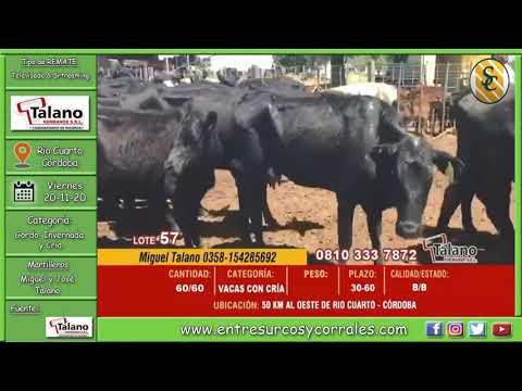 20-11-20 - Remate Televisado de Talano Hnos. S.R.L. - Río Cuarto, Córdoba