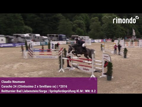 BuCha-Quali Bad Liebenstein/Sorga – Claudio Neumann & Caracho 24