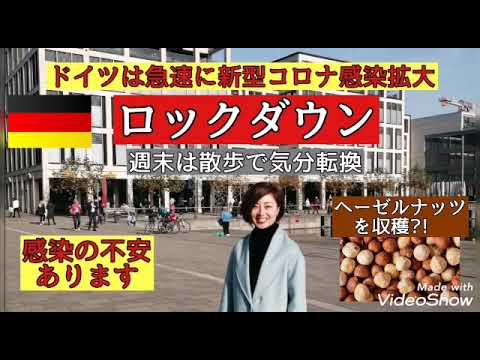 ドイツのロックダウン: この恐ろしい状況は阻止されるべきです