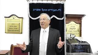 הרב מרדכי נויגרשל (HD) שיעורים בפרשת השבוע, פ׳ אמור