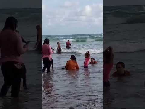 nadeera berenang di pantai parang tritis