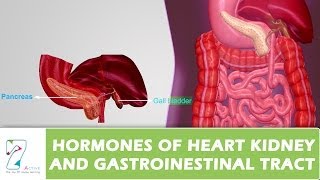 HORMONES OF HEART KIDNEY AND GASTROINESTINAL TRACT
