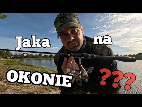 Jaką wędkę wybrać na okonie? kij na okonie!