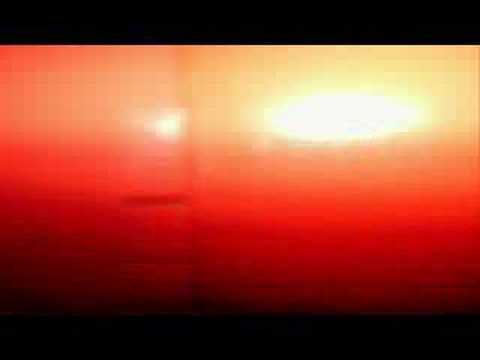 keckec-dosli divlji i oterali pitome