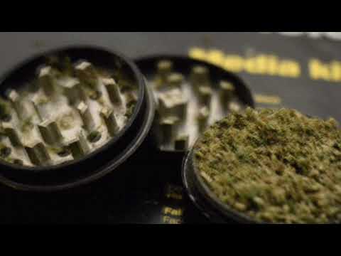 АрХангел — Повсюду палево (при уч. Булик)