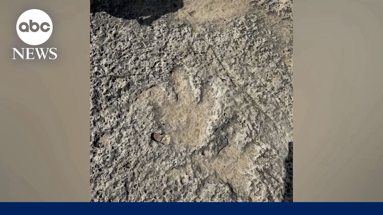 德州洪水意外揭露1.15亿年前恐龙足迹