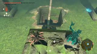 Misko's Treasure III - Thundra Plateau Shadow puzzle solution - TOTK