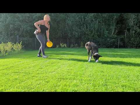 Obi 1 Kimbo - Target flach