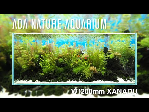 Film ADA  -  Akwarium 120 cm