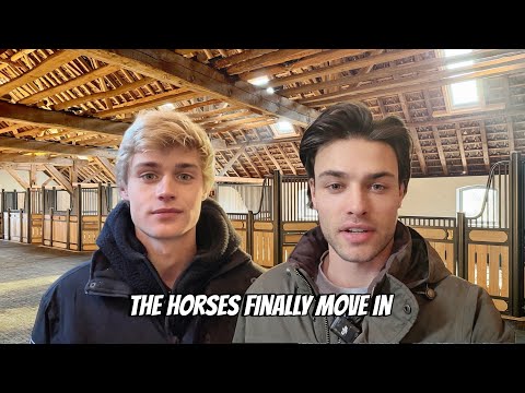 The Surprise I Got for My Birthday, Last Session With My Stallion & the Horses Move Into the Stables