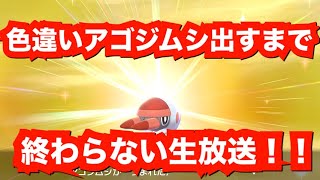 アゴジムシ ポケットモンスター キュワワー チョンチー フラベベ アゴジムシ ポケットモンスター キュワワー チョンチー フラベベ