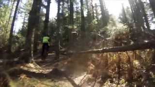 preview picture of video 'GoPro HD: Mountainbike in Tornby Klitplantage'