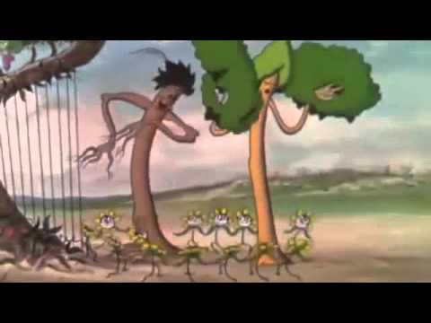 Flamingo Star  - Tango Malaguena