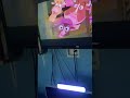 Opening To Finding Nemo 2003 VHS At Respect House
