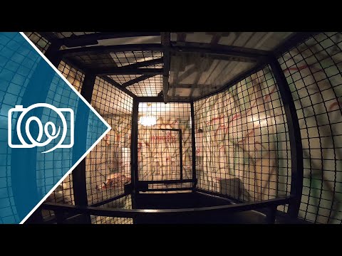 Shocker Geisterbahn (Böttger) @ funDOmio Dortmund 2020 - Full HD Onride (POV) Video