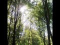 That Was A Different Life (Ambient Rushton Podcast 63)