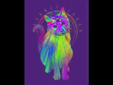 Frilosofía y Drogas  GRACIAS POR HACERLO POSIBLE!!