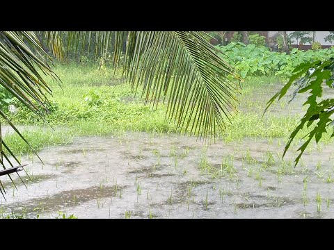 😍🥰🌧️🌧️🥰😍