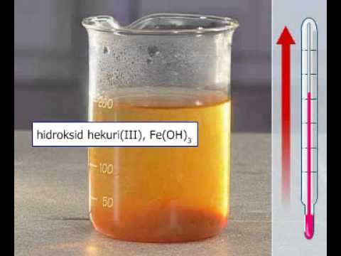 Procesi i koagulimit(mpiksjes)