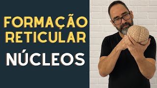 FORMAÇÃO RETICULAR - NÚCLEOS DA FORMAÇÃO RETICULAR