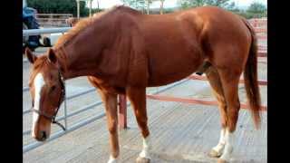 no regrets; one year ♥