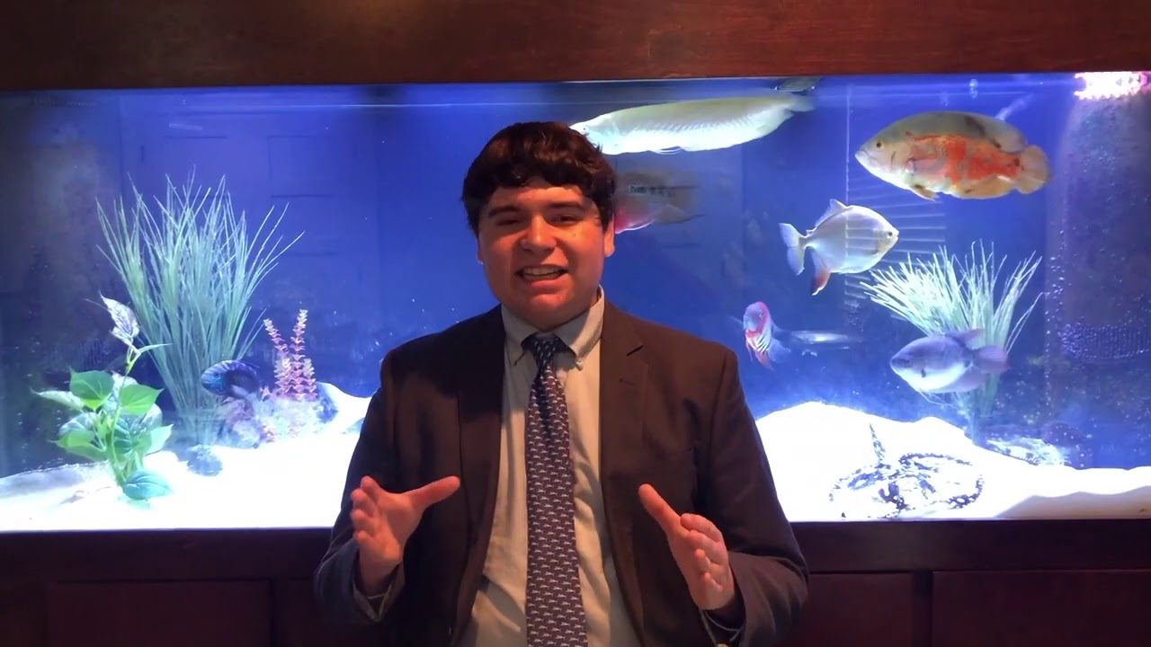 Save Our Sharks | Brandon Tucker | TEDxYouth@SRDS