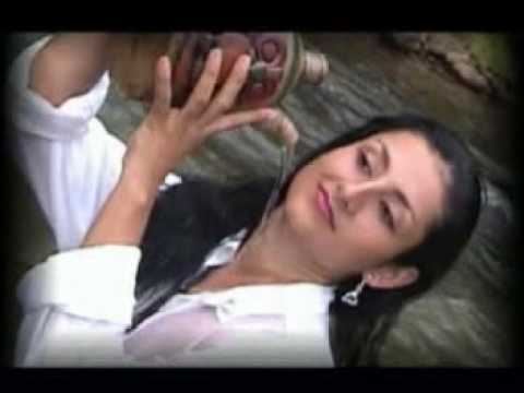 VIRUS DE AMOR-JAMES ANDRADE