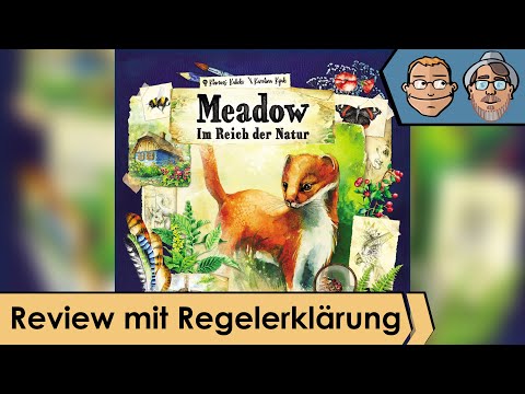 Meadow Im Reich der Natur – Brettspiel – Review und Regelerklärung
