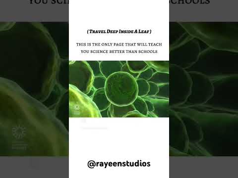 Travel Deep inside A Leaf #shorts