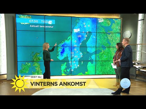 Riktigt besvärligt väglag väntar i slutet av veckan: ”Regn och väldigt blåsigt” - Nyhetsmorgon (TV4)