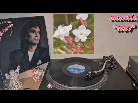 Jasmin Stavros – Jasmin *1987* /// *vinyl rip*
