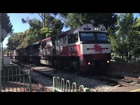 SCT Freight Train at Unley Park