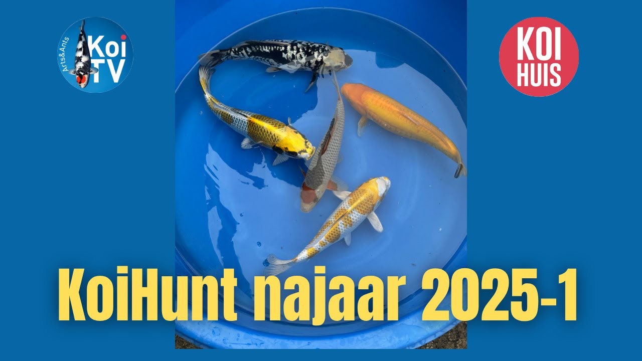 KoiHunt najaar 2025 deel 1