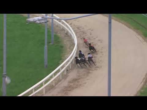 Pestana's Record Breaking Run!