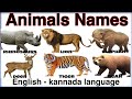 Wild Animals Name | Learn animal names with pictures in English-kannada | ak English Learning