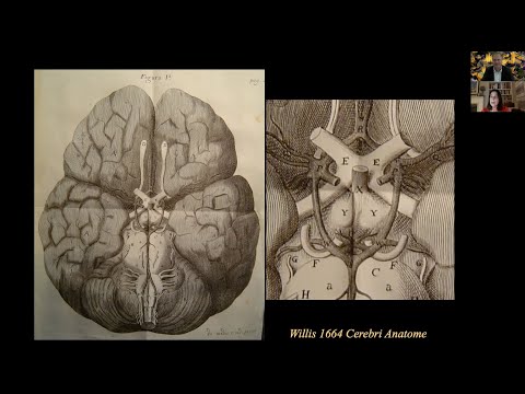 Thomas Willis conversations: The circle of Willis