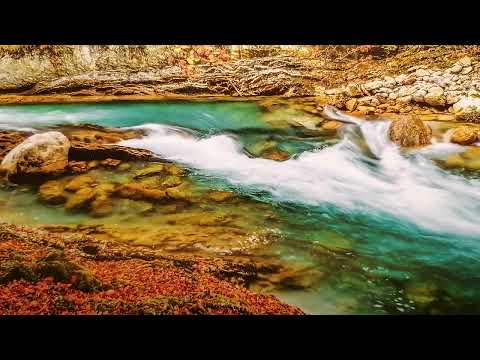 🏅22022022🏅PORTAL *Neue Erde* 🌠Gitternetzaktivierung🌠 (Das musst du wissen...) 💖Channeling Kryon