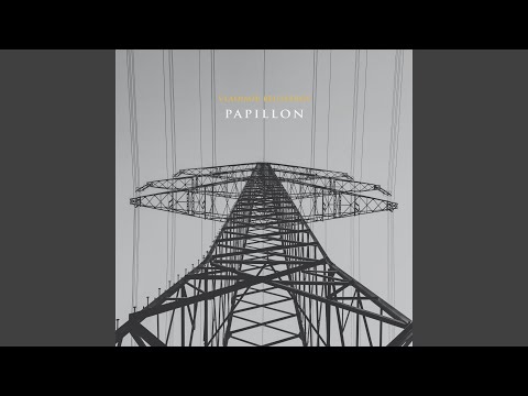 Papillon