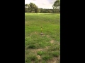 Noah S Rocket