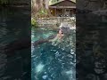 Gabby Swimming With Alligators