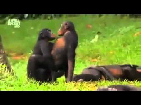 ආ ..................... දැනෙන  සනීපයක්