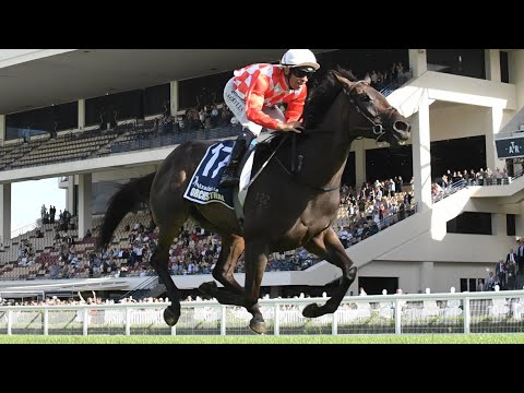 Orchestral | Trackside NZ Derby G1